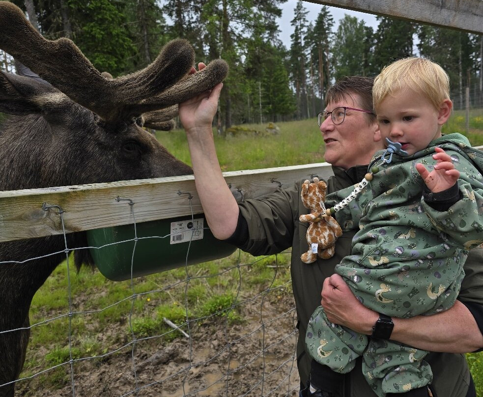 Varmlands Moose Park-Eksharad必去景点