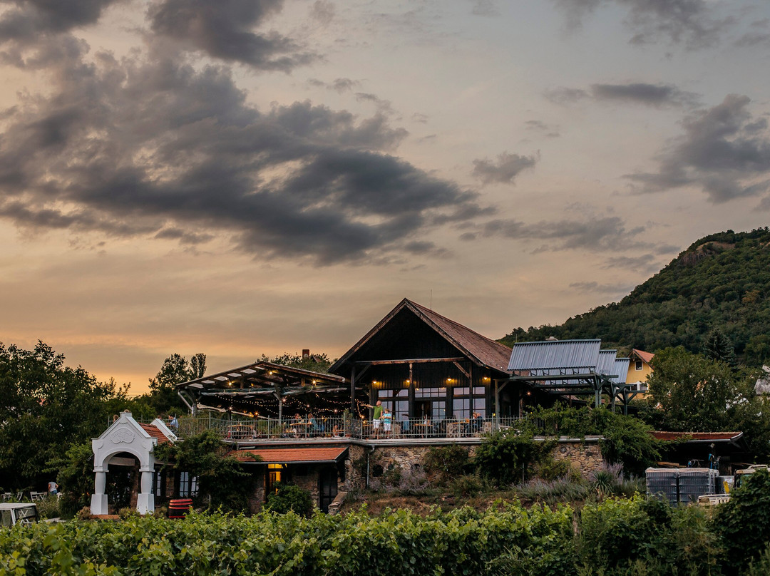 Szaszi Estate-Hegymagas必去景点