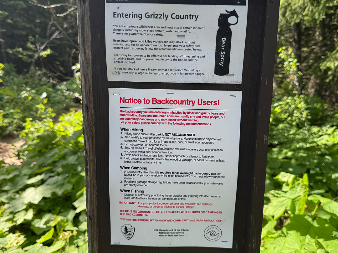 Swiftcurrent Lake Nature Trail-东冰川公园必去景点