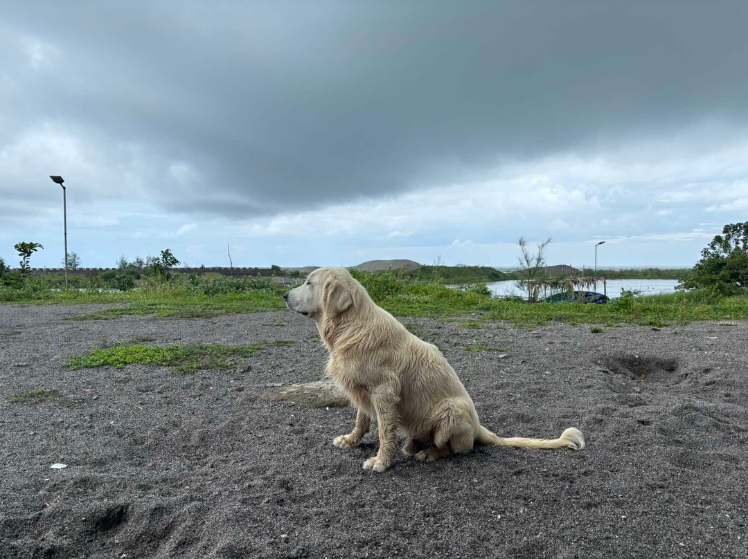 Zambales Province酒店住宿-AmanDagat Beach Resort