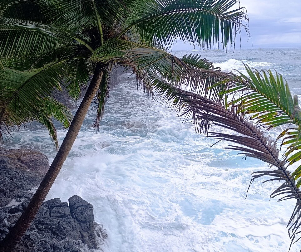 Tahiti Boat Excursion & Surf-Vairao必去景点