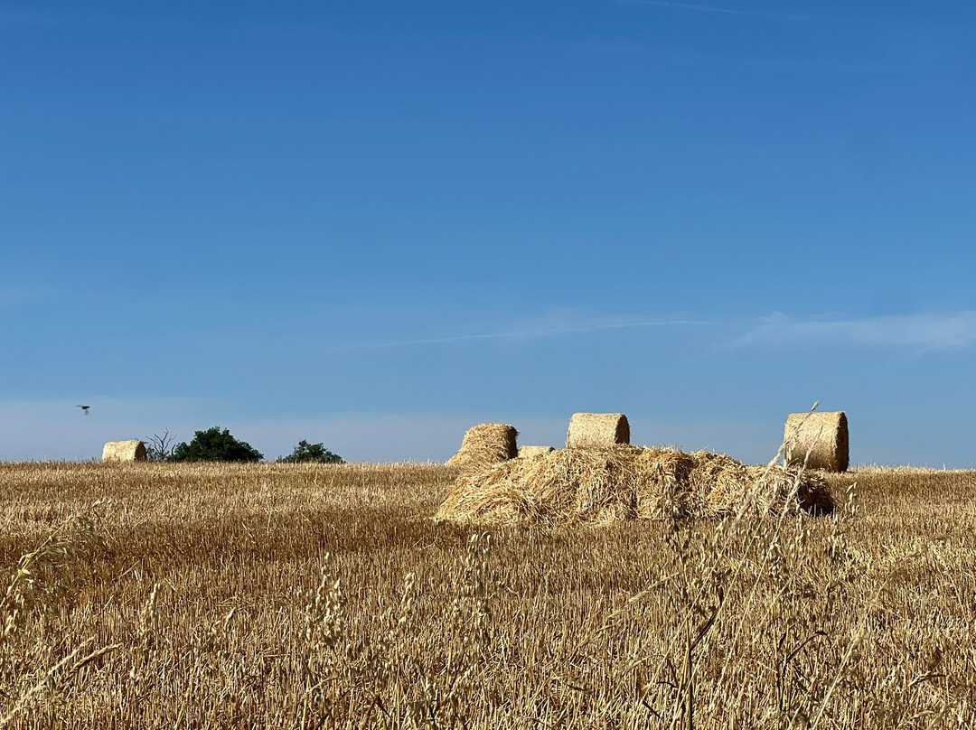 瓦艾尔地区酒店主图