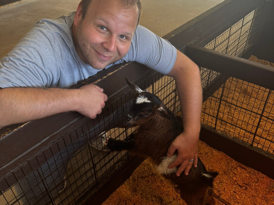 The Farm-斯特金贝必去景点