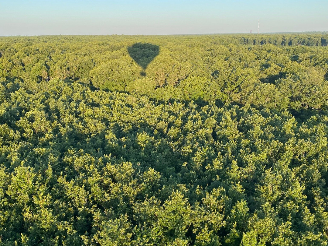 France Montgolfieres-Saint-Julien-de-Chedon必去景点