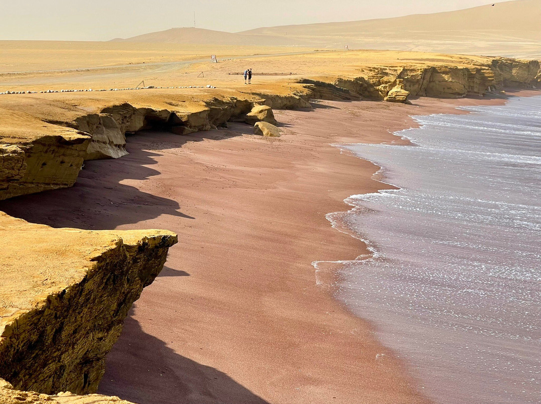 Paracas National Reserve-皮斯科必去景点