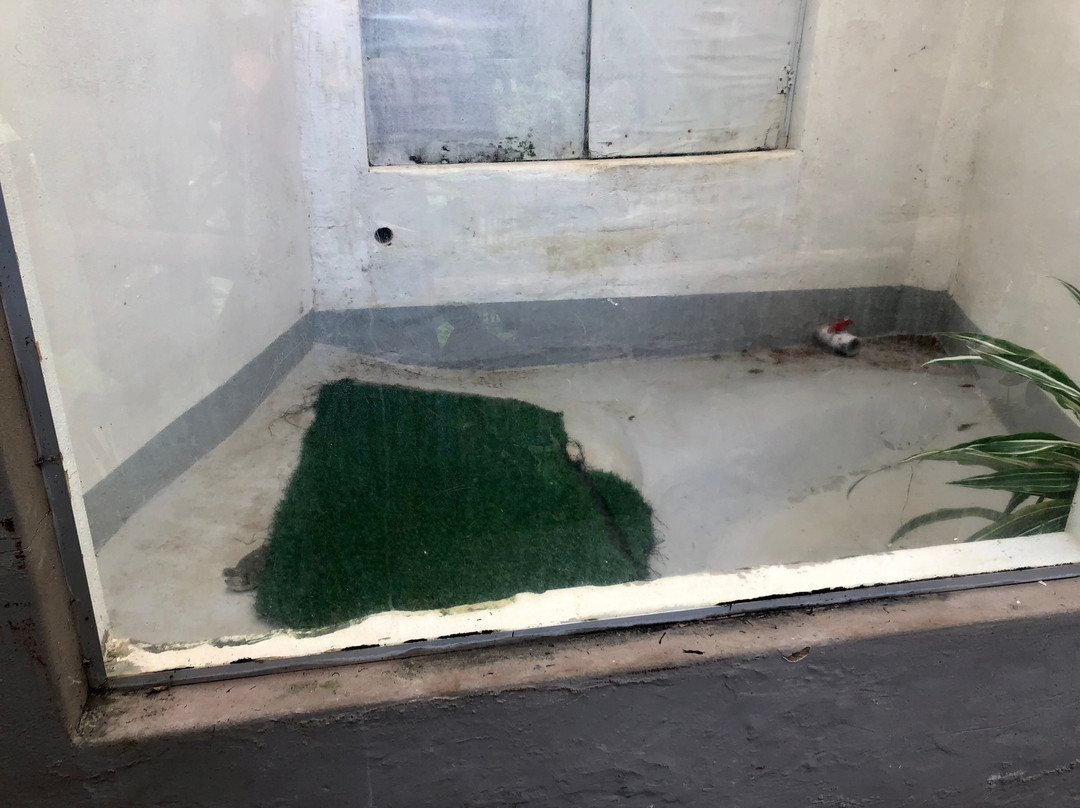 Crocodile Creek-Tongaat必去景点