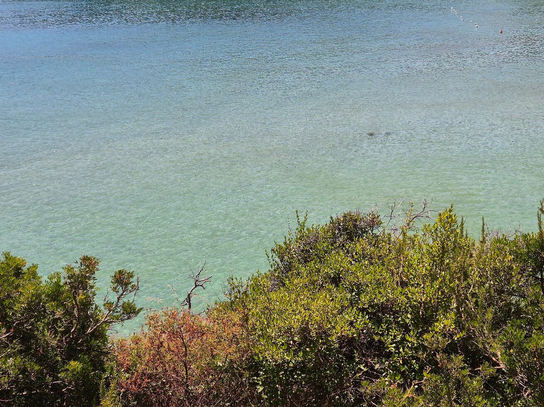 Spiaggia di Fetovaia-Campo nell'Elba必去景点