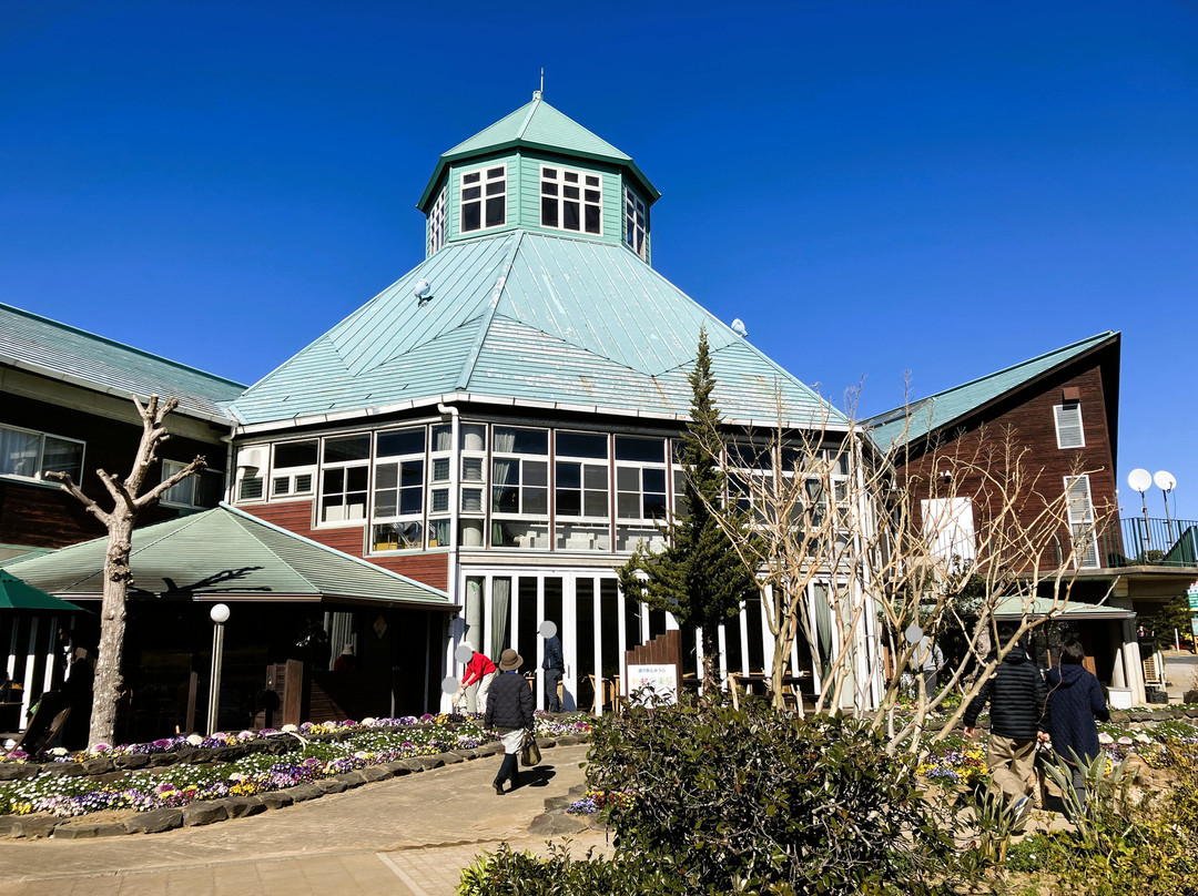 Michi-no-Eki Tomiura Biwa Club-南房总市必去景点