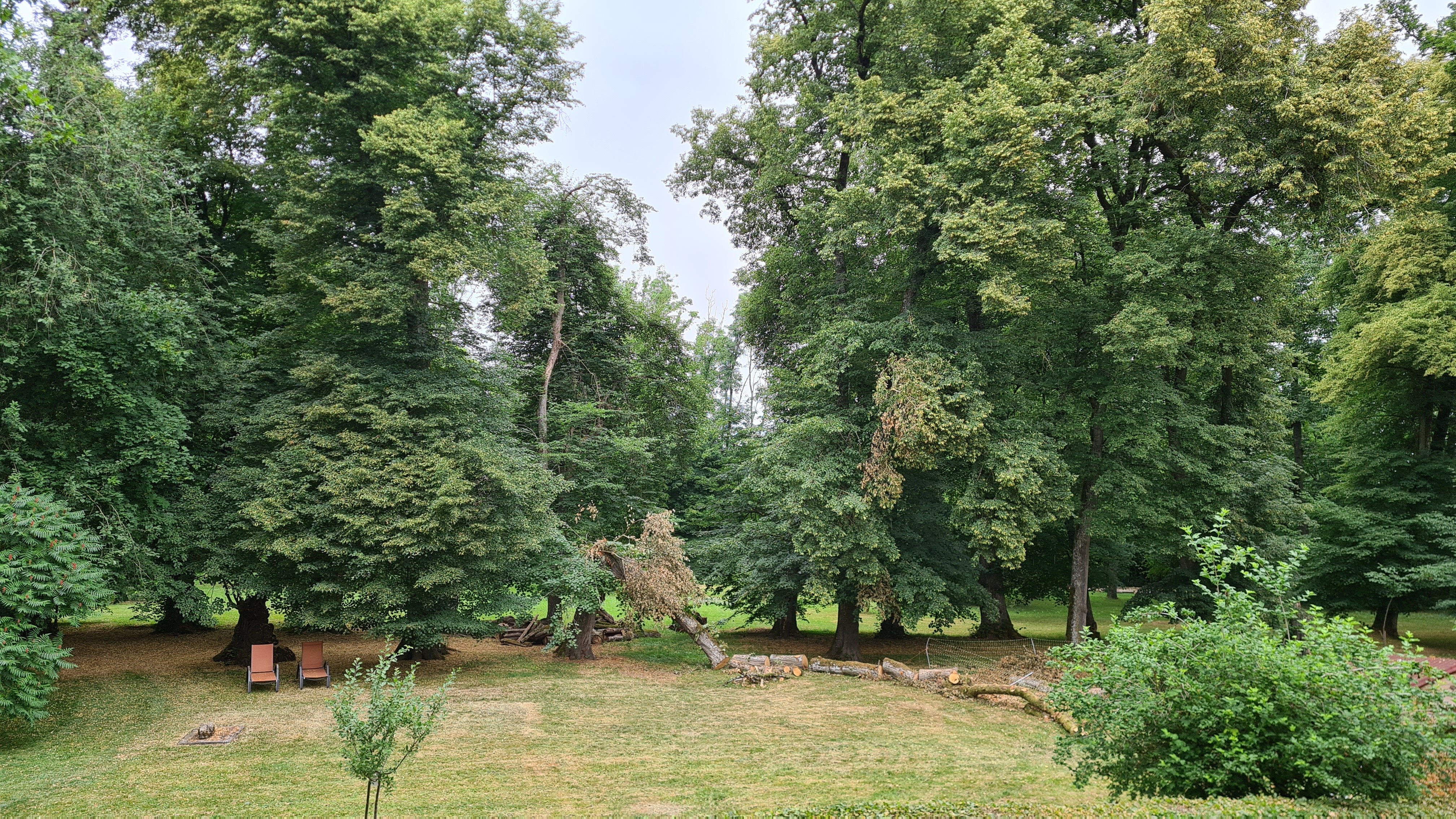 Domaine Les Bachats-官方