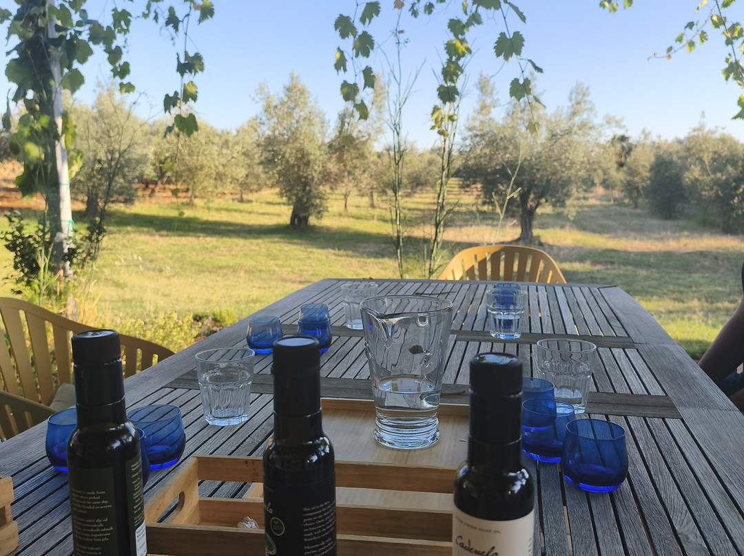 Cadenela Organic Extra Virgin Olive Oil-沃德年必去景点