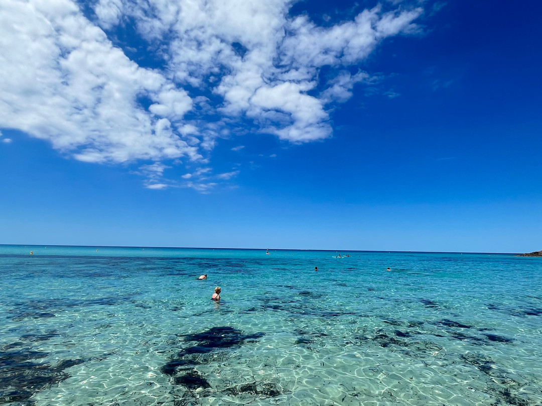 Plage de Bodri-Corbara必去景点