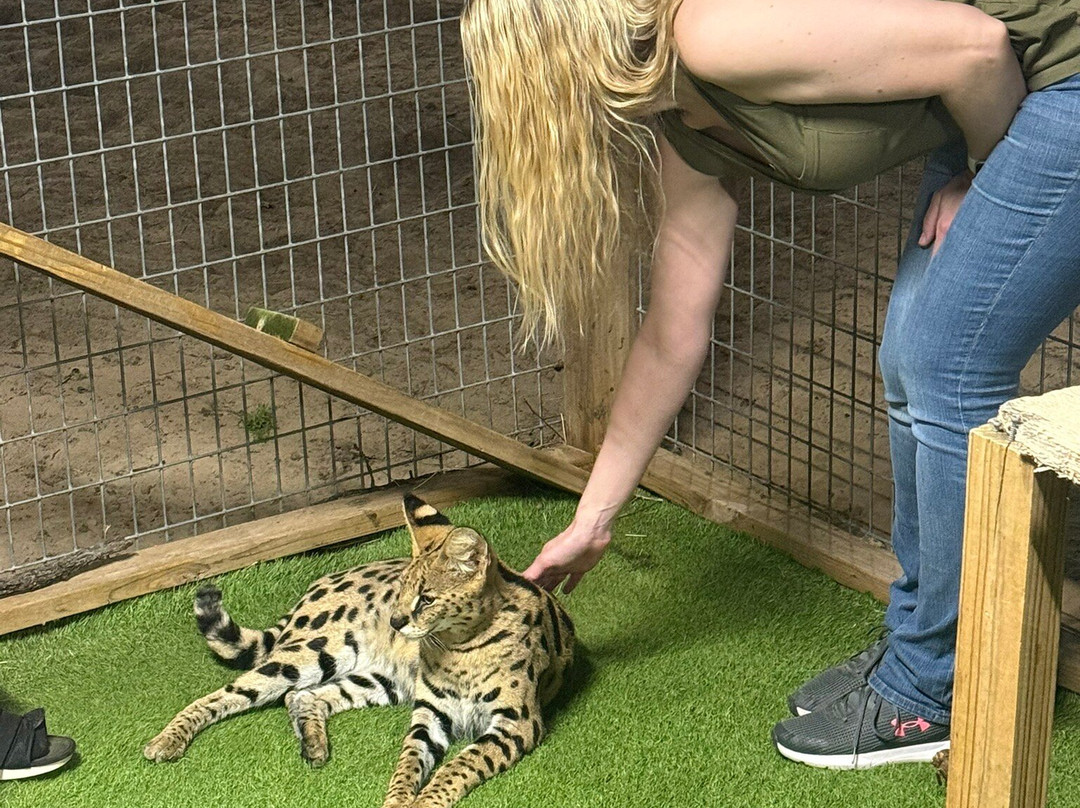 Oak Meadow Ranch-Valley View必去景点
