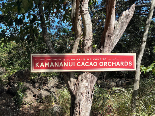Kamananui Cacao Orchard Tour-瓦胡岛必去景点