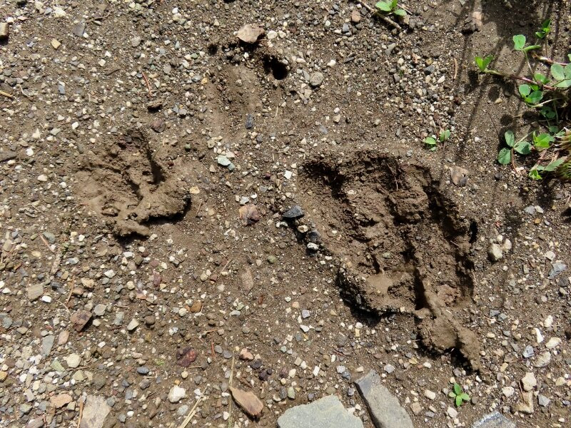 Alta Via Dell'orso-Colle Santa Lucia必去景点