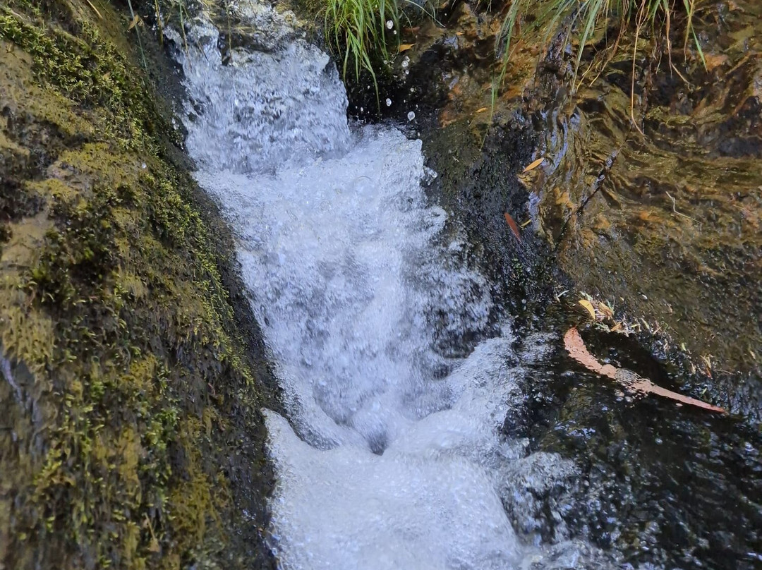 Cascata Do Pincho-Montaria必去景点