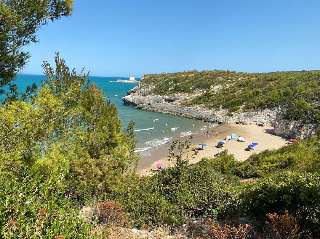 Baia del Turco-佩斯基奇必去景点