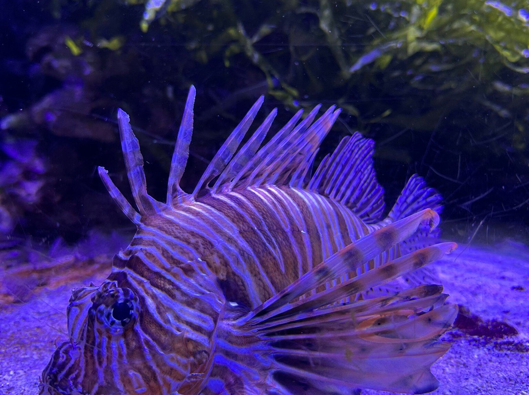 Aquarium d'Amneville-昂内维尔必去景点