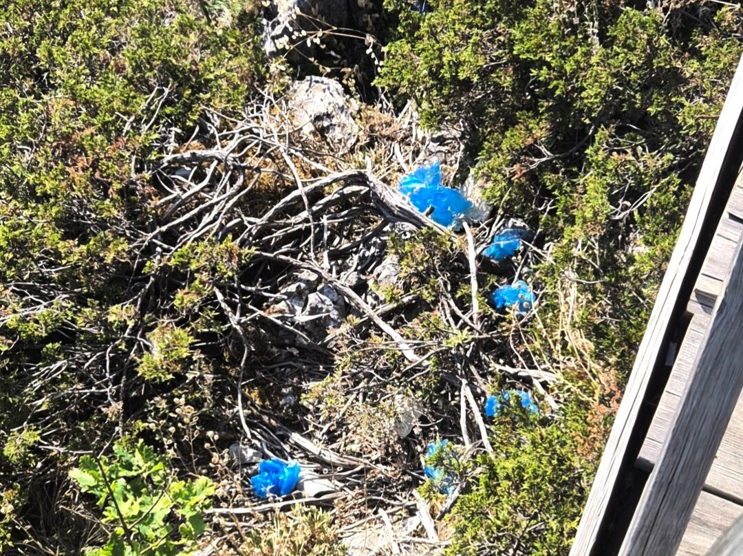 Catak Kanyonu Cam Seyir Terası-Azdavay必去景点