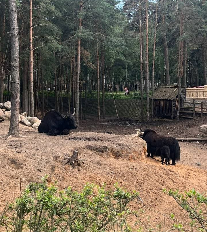 Animal Park-Baranovichi必去景点