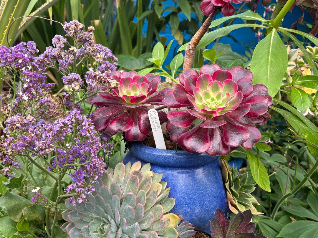 Lullingstone Castle & The World Garden-Eynsford必去景点