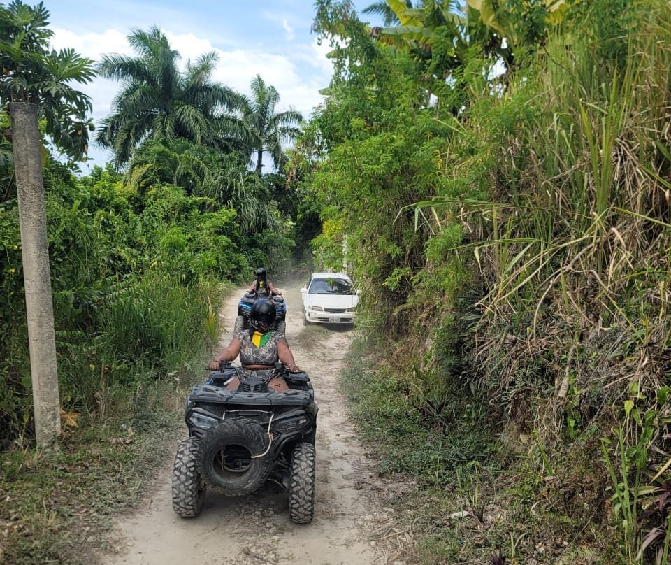 Big Deal Tours-法尔茅斯必去景点