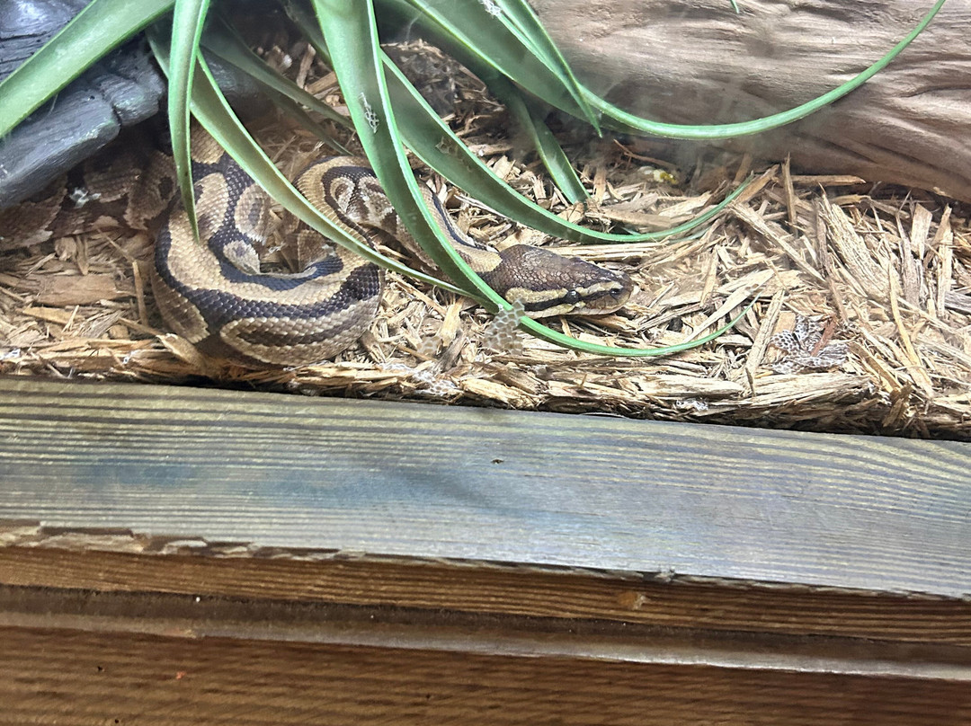 Alligator Alley-Summerdale必去景点