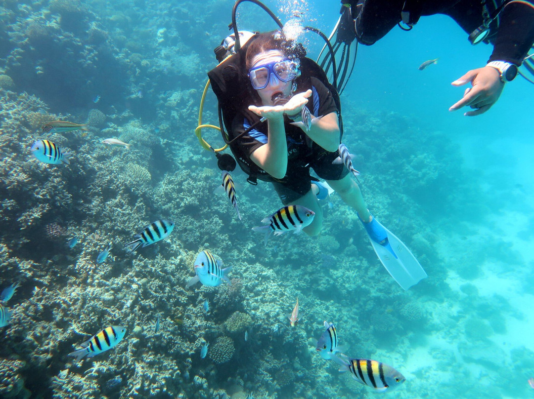 Golden Map-赫尔格达必去景点