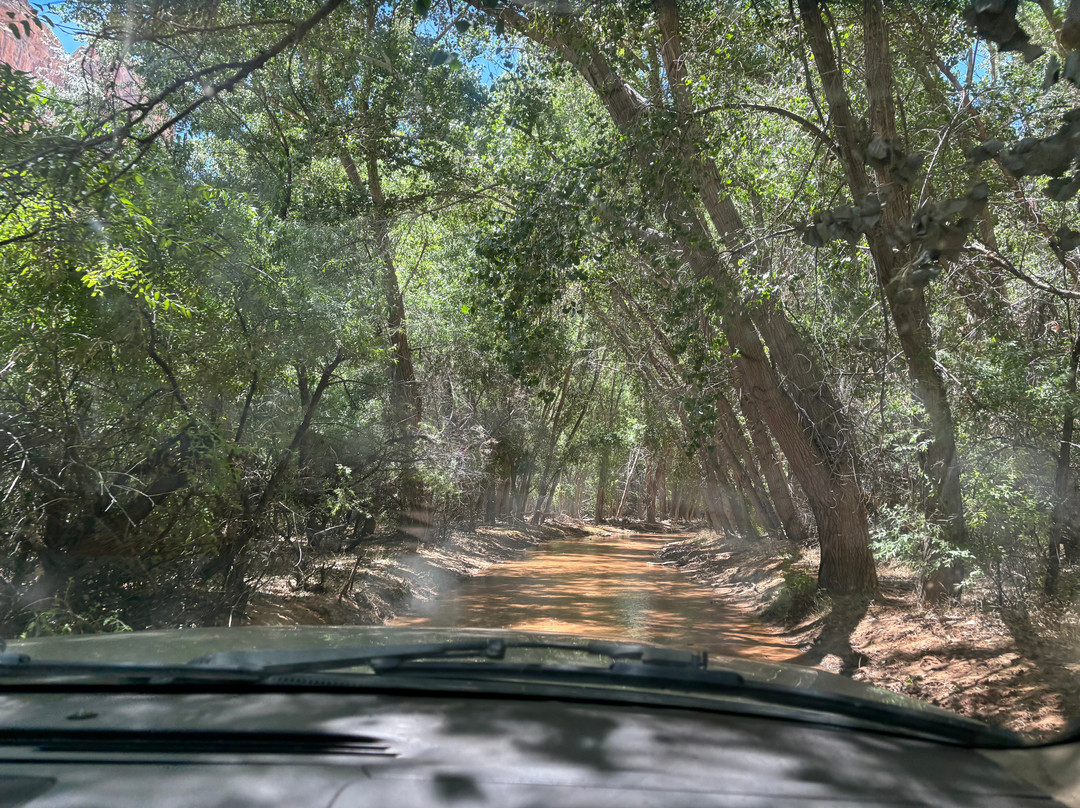 Canyon De Chelly Tours, Llc.-Chinle必去景点