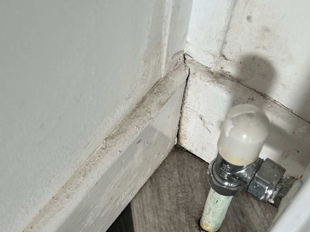 Arran Hills Pods主图