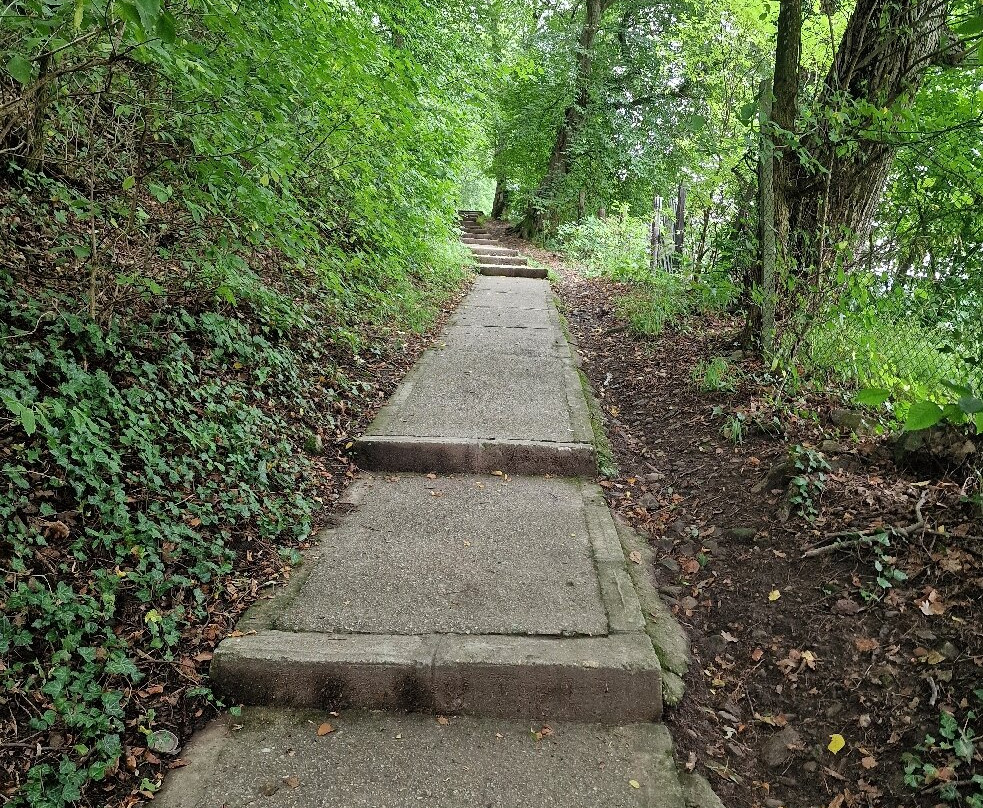 Saxon Fortified Church-Cisnadioara必去景点