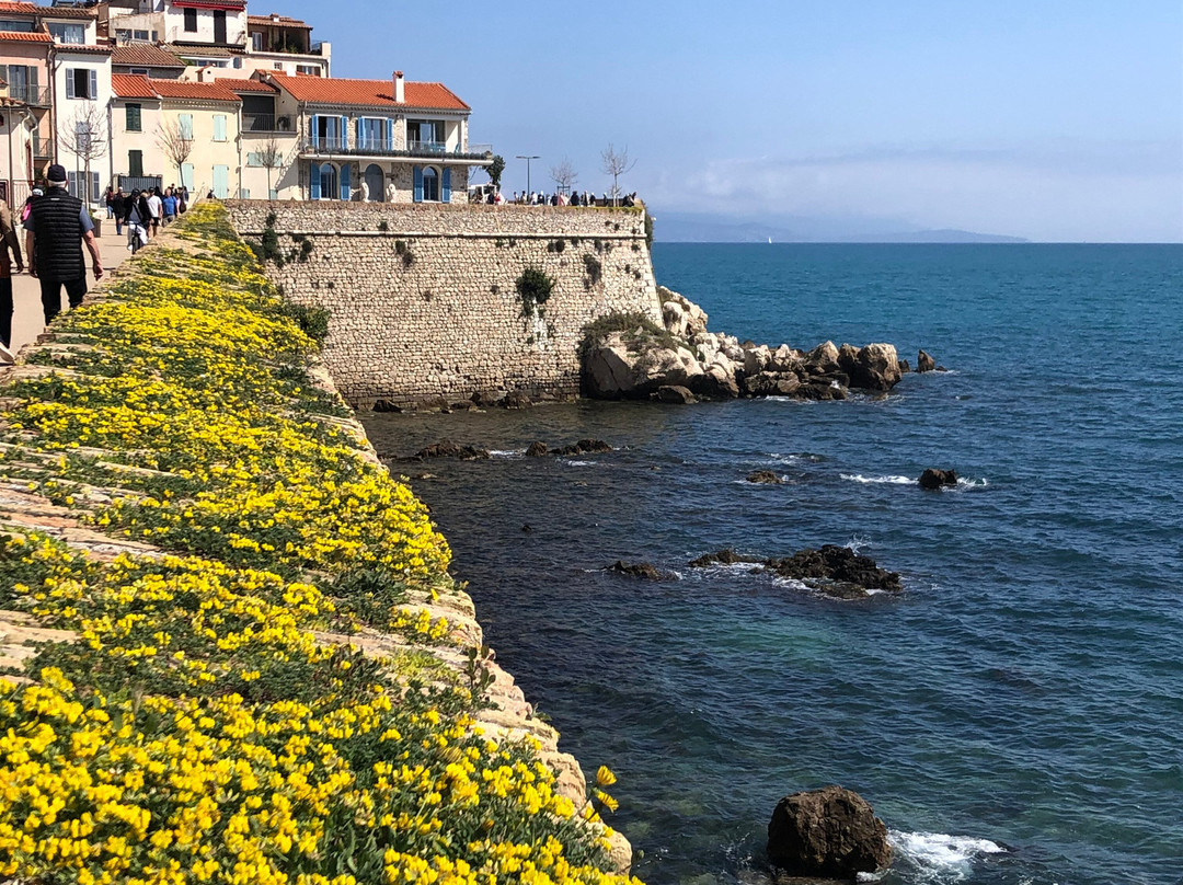 Marche provencal-安提贝必去景点