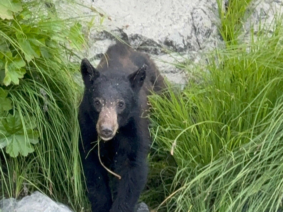 Klamath River Jet Boat Tours-克拉马斯必去景点