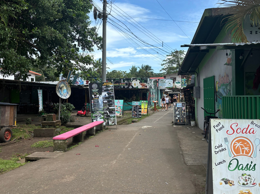 Hotel Serendipity Tortuguero主图