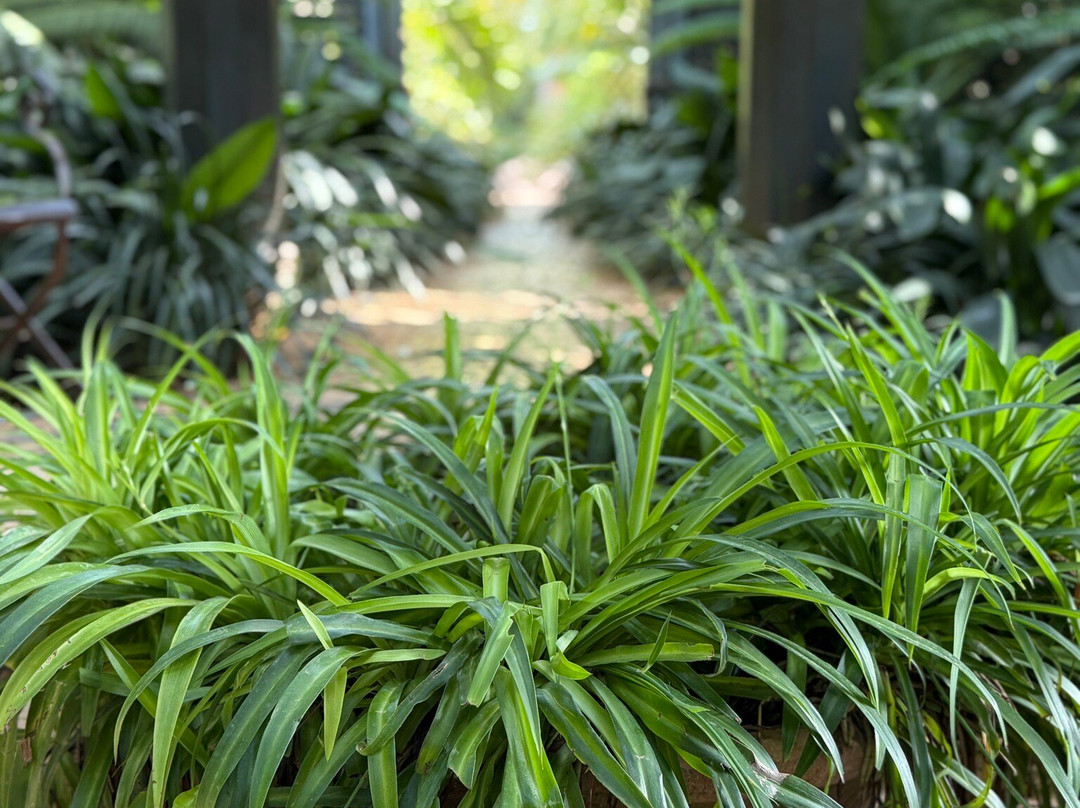 L'Albarda Garden-Pedreguer必去景点