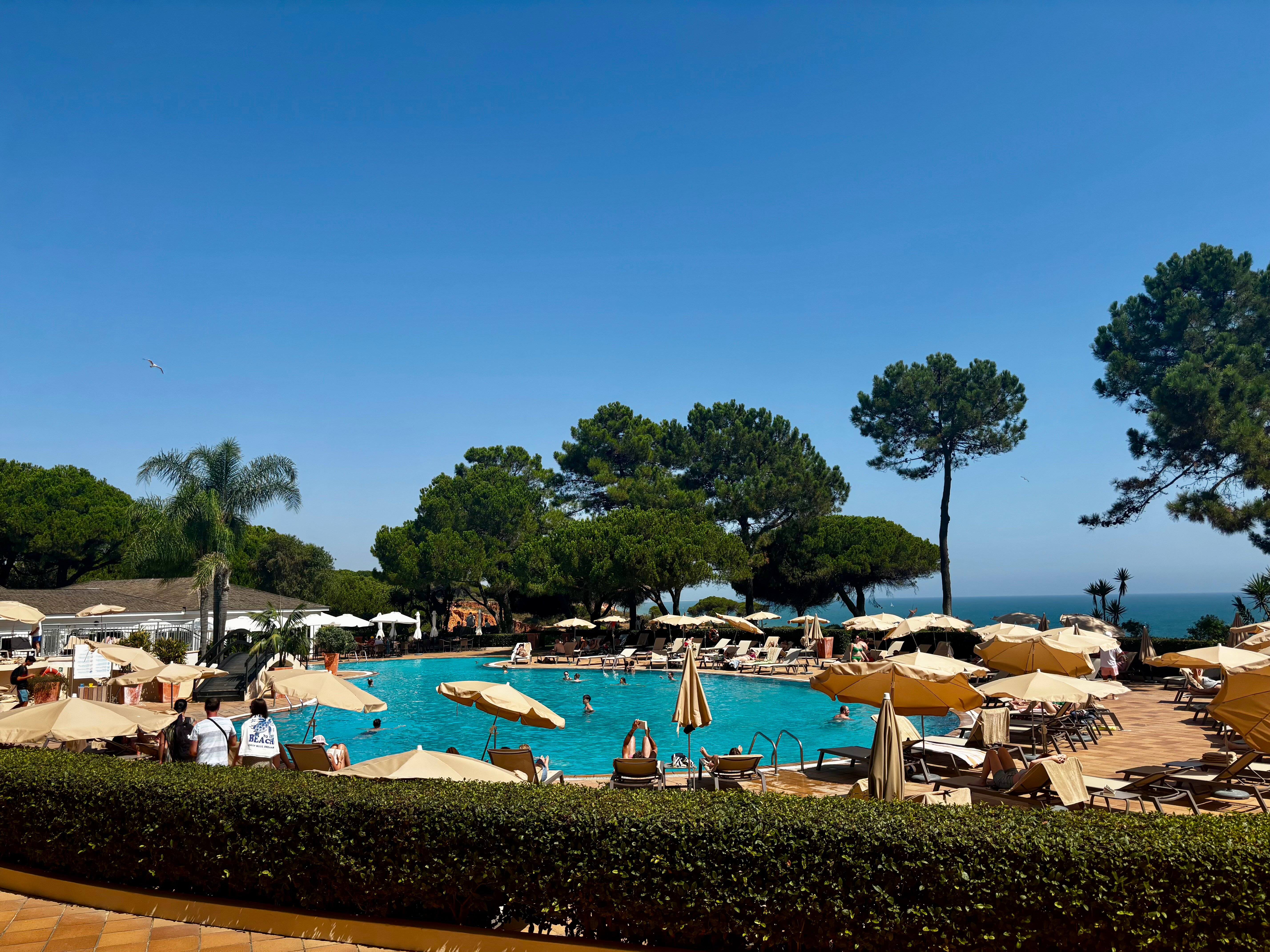 法雷西亚波尔图湾酒店-泳池