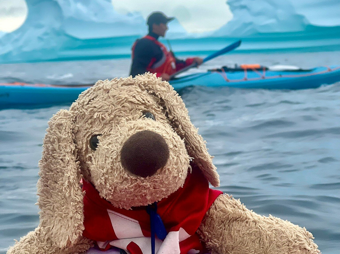 Disko Adventures-Qeqertarsuaq必去景点