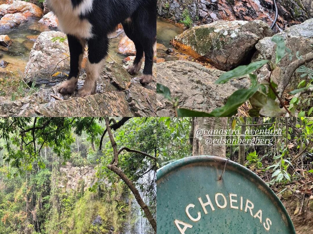 Cachoeira do Ouro-Delfinopolis必去景点