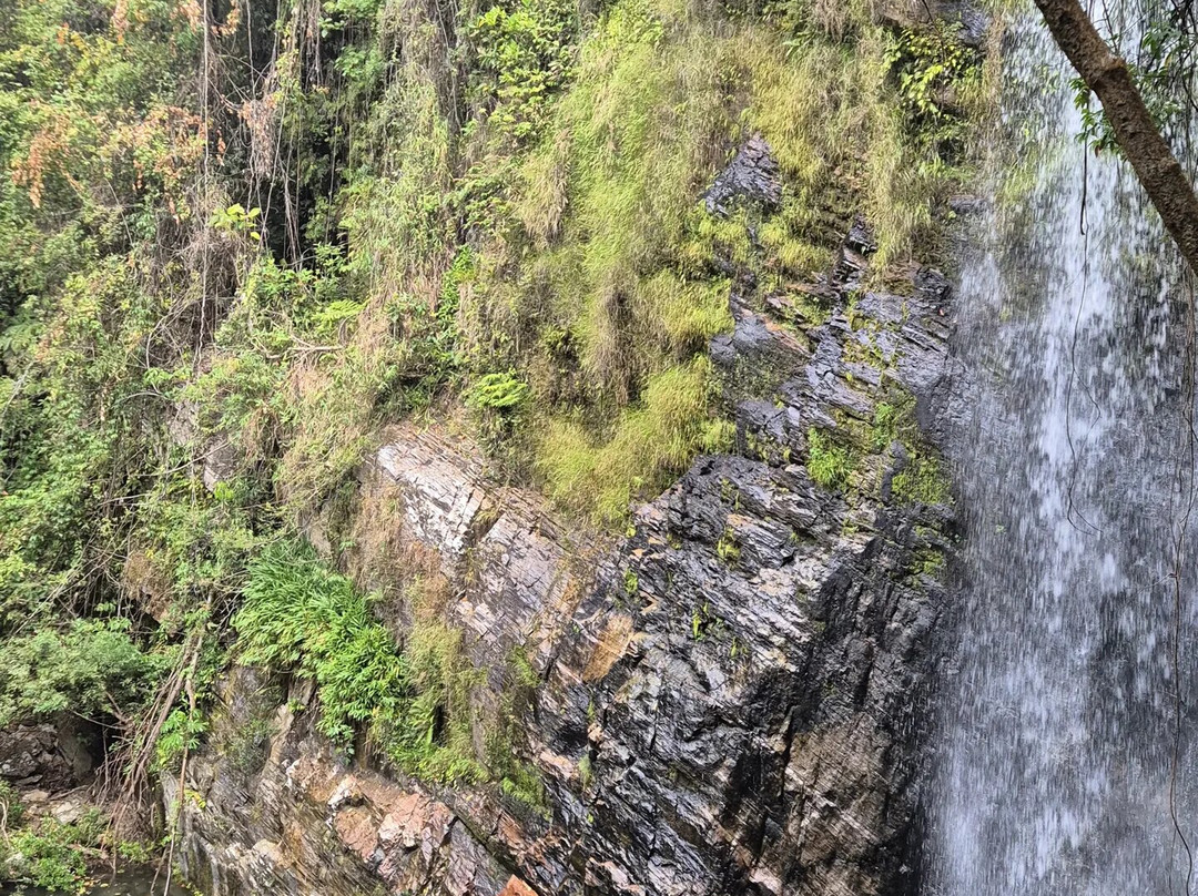 Cachoeira do Ouro-Delfinopolis必去景点