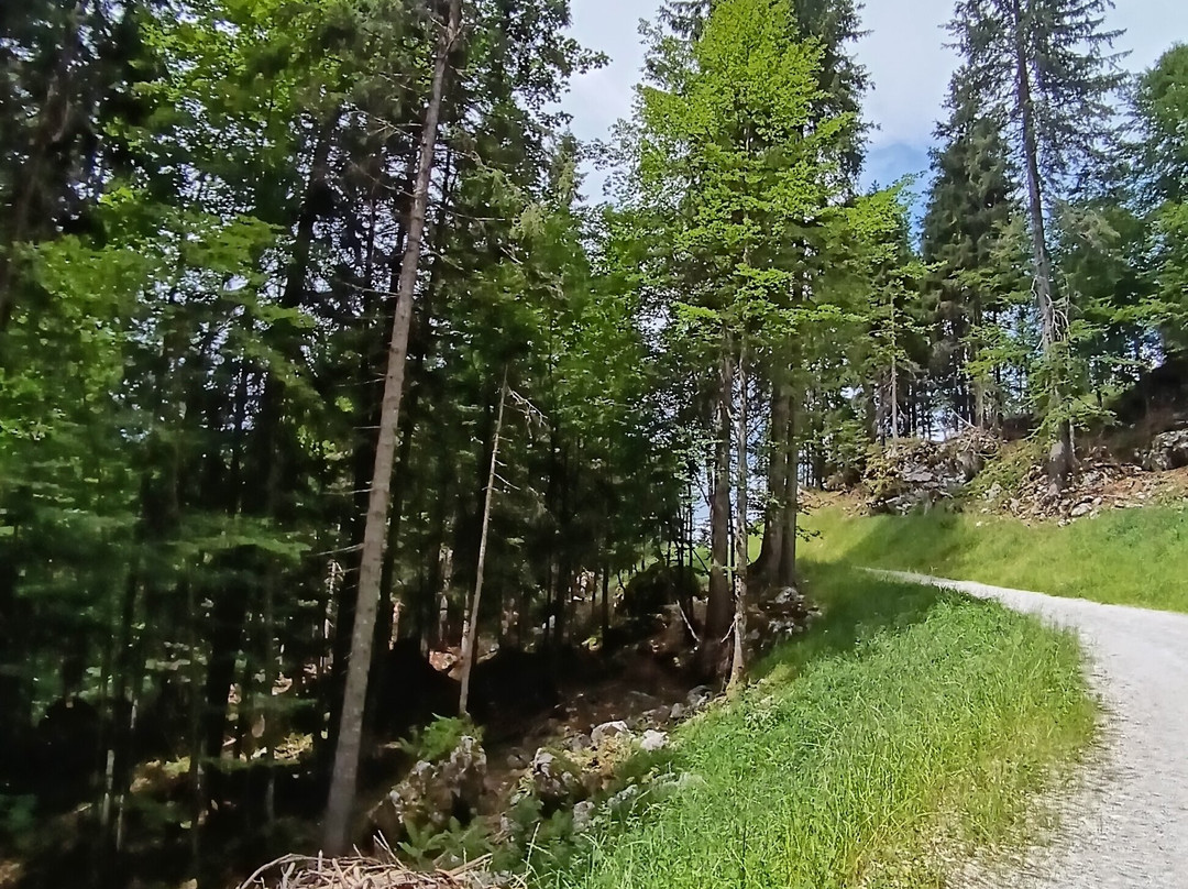 Malga Tuglia-Forni Avoltri必去景点