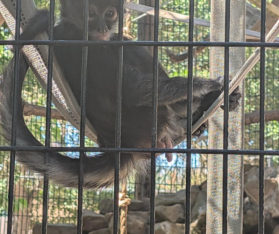 Central Coast Zoo-Atascadero必去景点