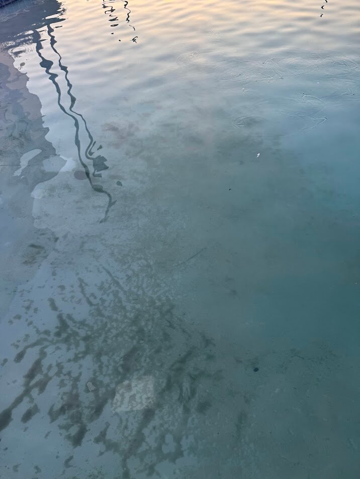 桑椹温德姆酒店-官方