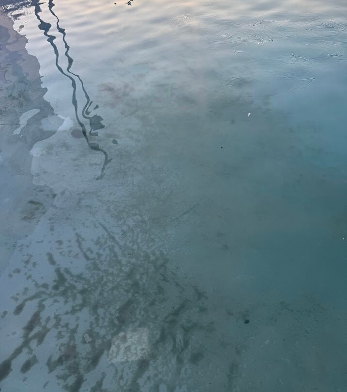 桑椹温德姆酒店主图