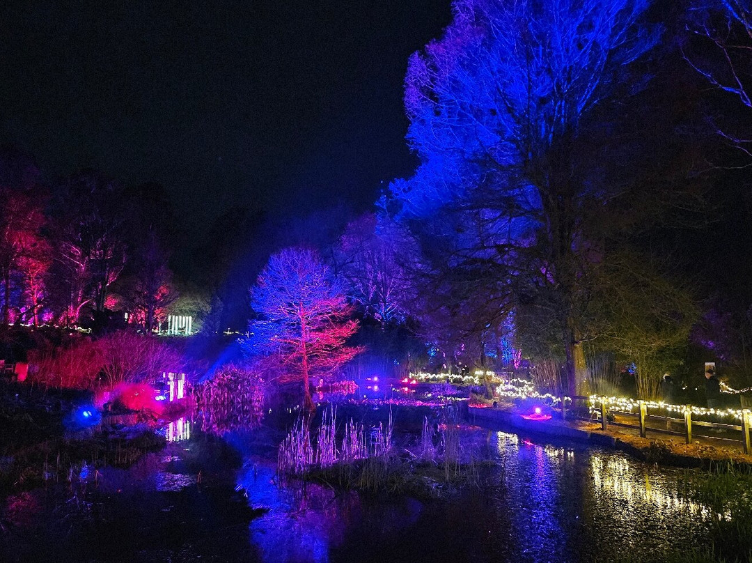 Light Up Trails-罗姆西必去景点