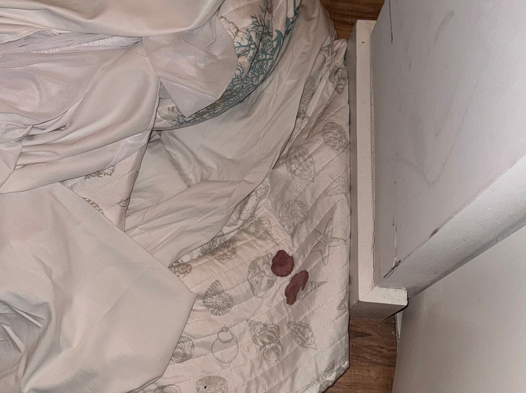 Beachwalk Elite Hotels and Resorts主图