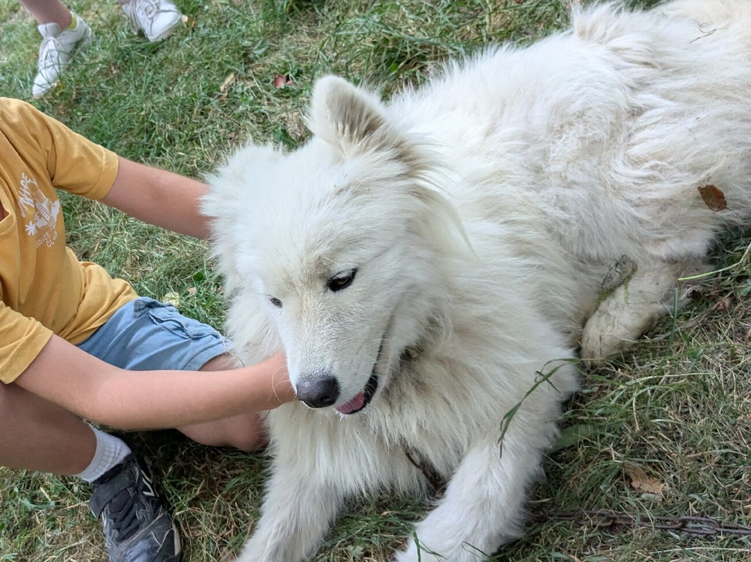 Le Repaire des Huskys-Arreau必去景点