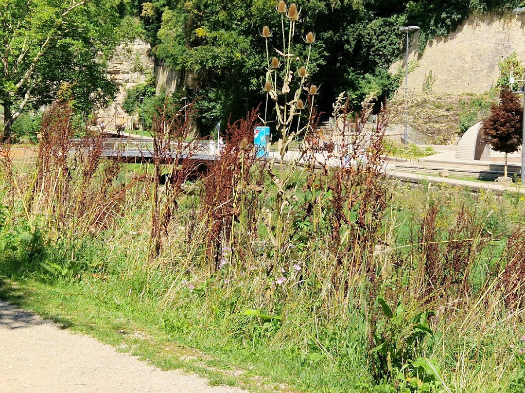 Pétrusse Parks-卢森堡城必去景点