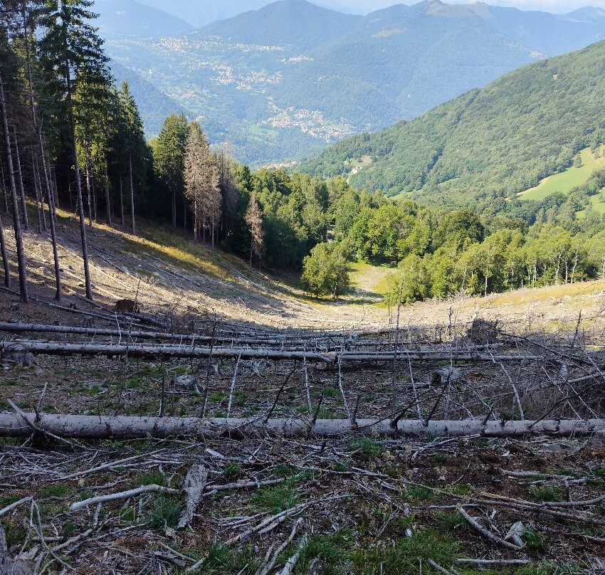 Il Sentiero delle Espressioni-Schignano必去景点