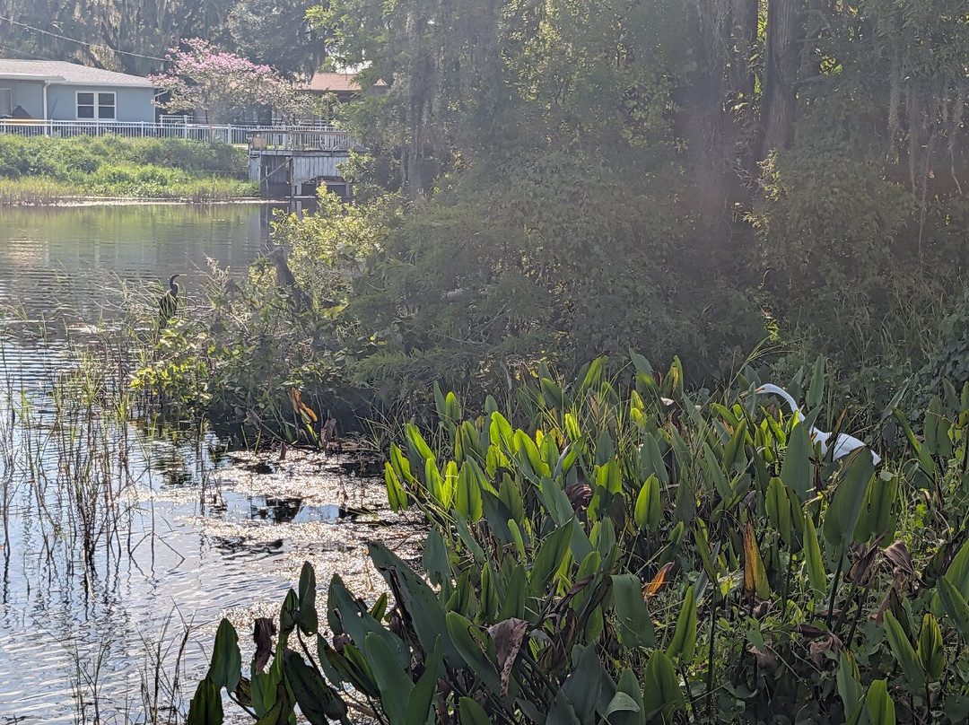 Singing River Tours-Dunnellon必去景点