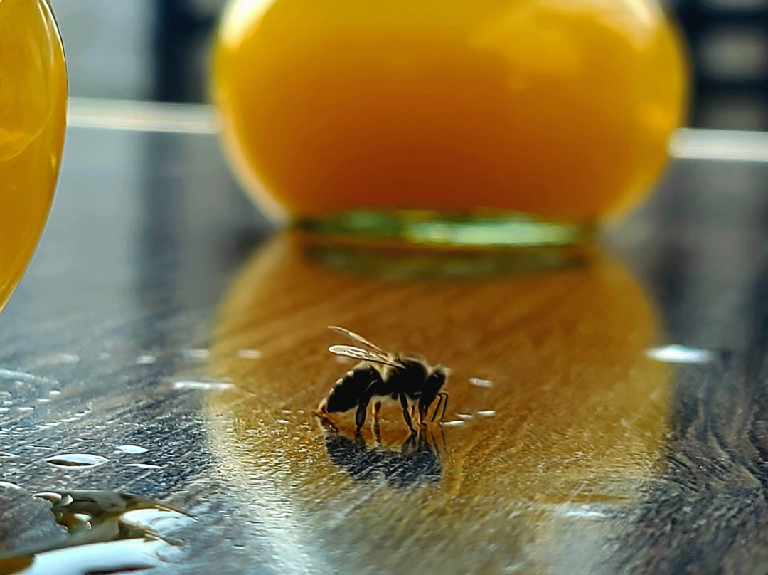 Ethiopia Selam Tours with Getachew-亚的斯亚贝巴必去景点