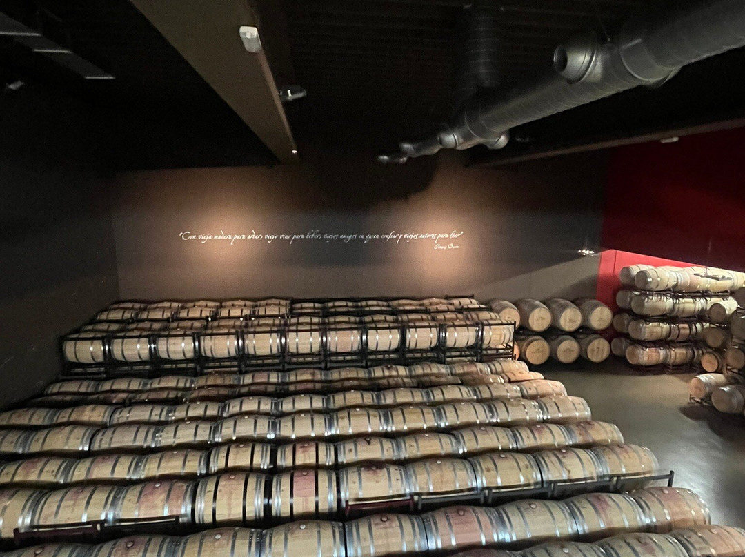 Bodegas Lozano-Leza必去景点